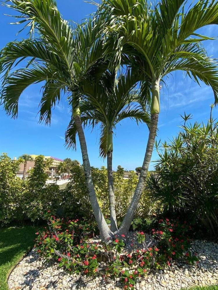 Beachside Resort Motel St. Pete Beach Esterno foto
